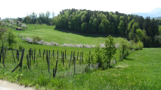 PDVojnik - 15. pohod Vojnik-Šentjungert 27.4. - foto