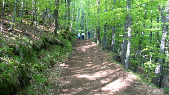 PDVojnik - 15. pohod Vojnik-Šentjungert 27.4. - foto povečava