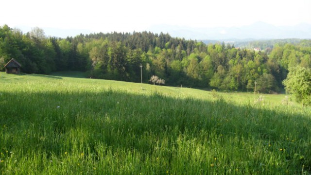 PDVojnik - 15. pohod Vojnik-Šentjungert 27.4. - foto