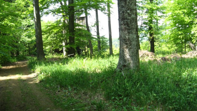 Pohod PDVojnik od Donačke gore na Boč 10.5.20 - foto