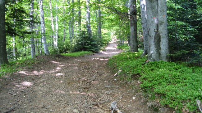 Pohod PDVojnik od Donačke gore na Boč 10.5.20 - foto povečava