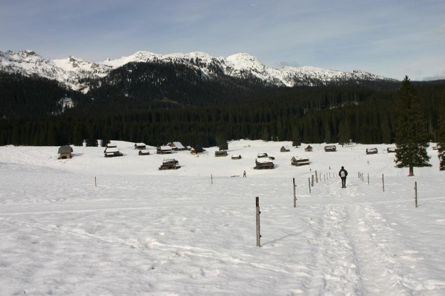 Planina Zajavornik
