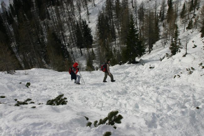 Lipanca 27.1.2008 - foto povečava