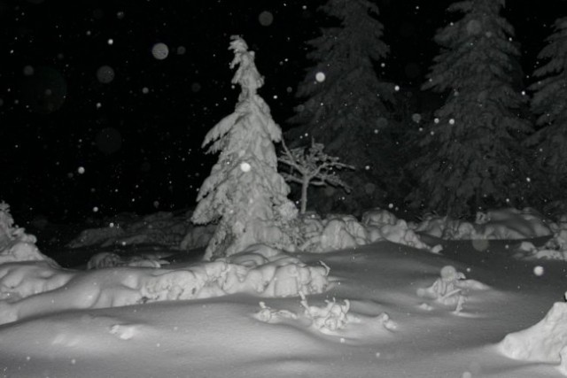 Velika planina februar 2008 - foto