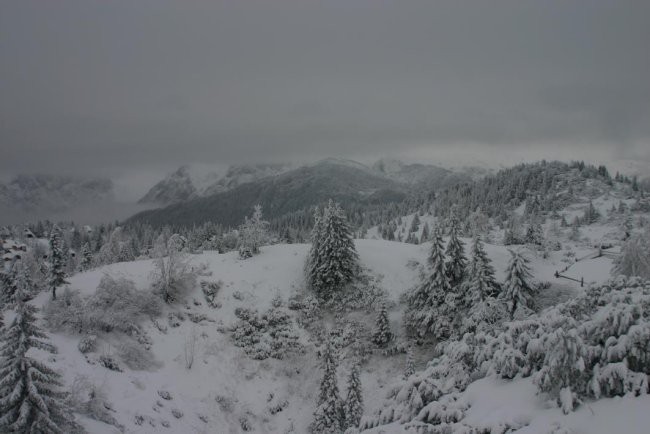 Velika planina februar 2008 - foto povečava