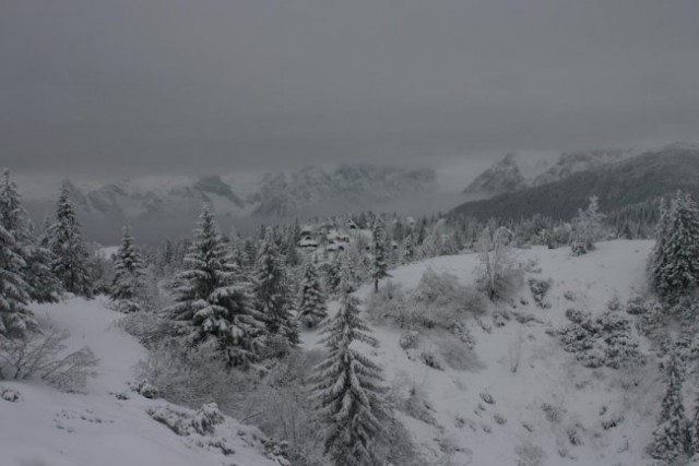 Velika planina februar 2008 - foto