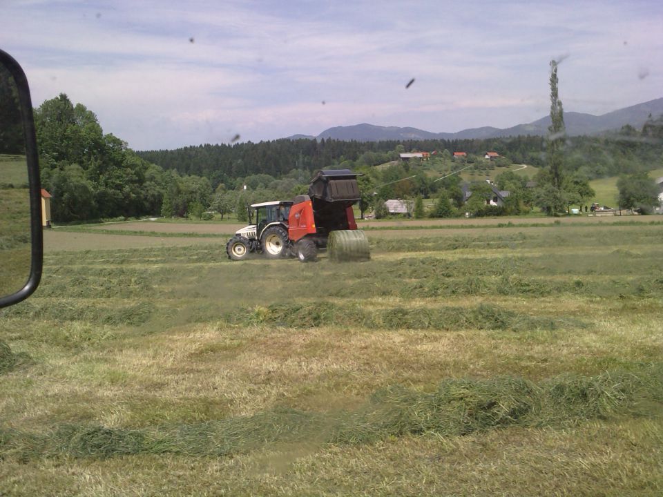 Košnja 2010 - foto povečava