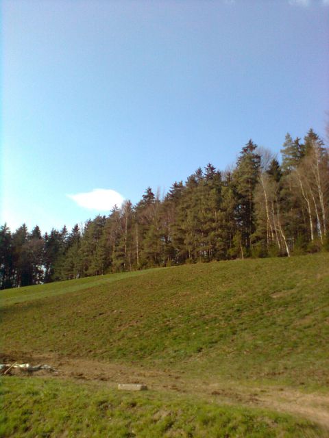 Pomlad 2012 - foto