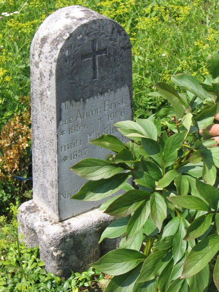 Grave of the Anton and Magdalena Briški