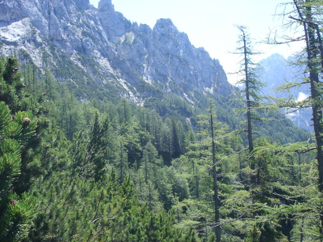 Pogled iz Macesnovega gozdička proti Ruševcu