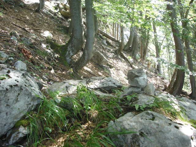 Možic na vrhu travnatega-skalnatega žleba ,kjer zavijemo proti levi