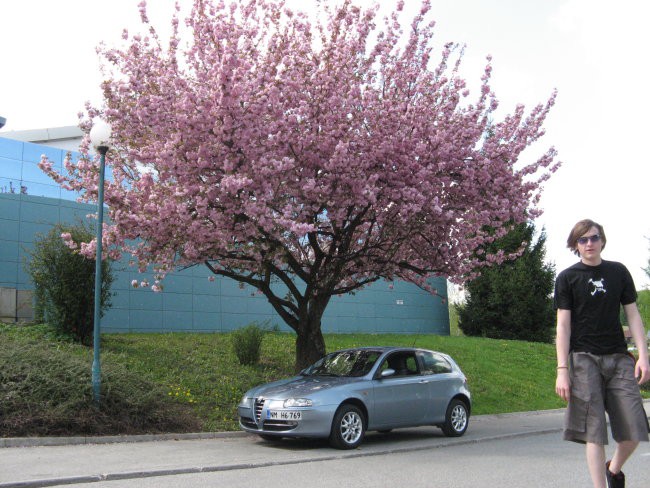 Alfa Romeo 147 - foto povečava