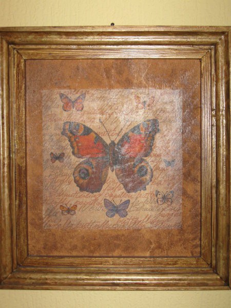 14 Slika metulj I. (M)
