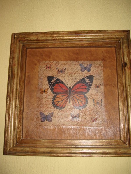 15 Slika metulj II. (M)