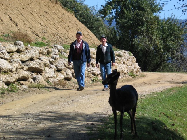 Izlet Pgd Donačka Gora na koroško 22.9.2007 - foto povečava