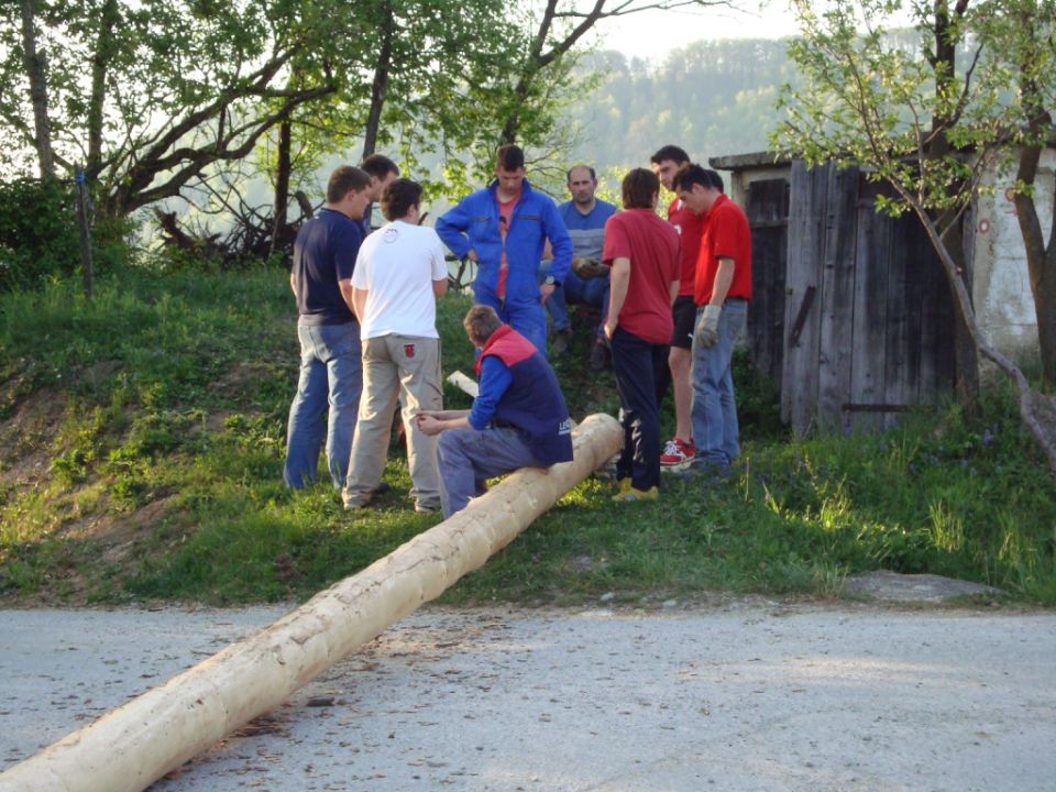 Postavitev mlaja 2010 - foto povečava