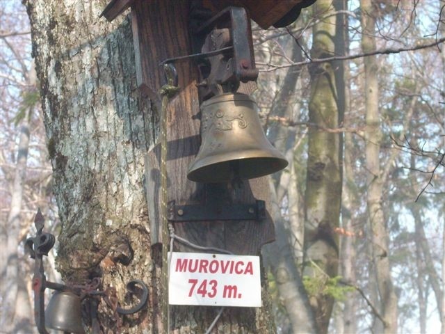 Pohod Murovica - Cicelj - Sv. Miklavž - foto povečava