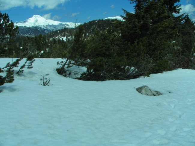 Pohod Velika planina - foto povečava