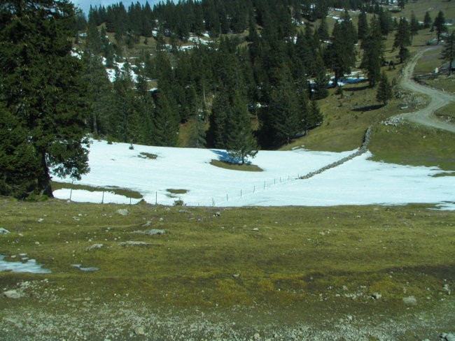 Pohod Velika planina - foto povečava