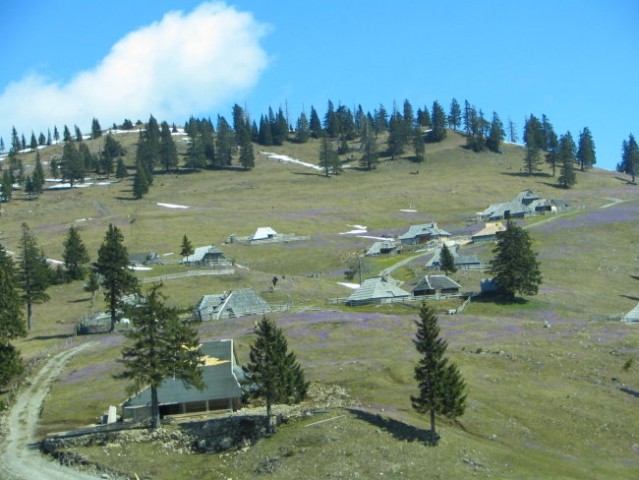 Pohod Velika planina - foto