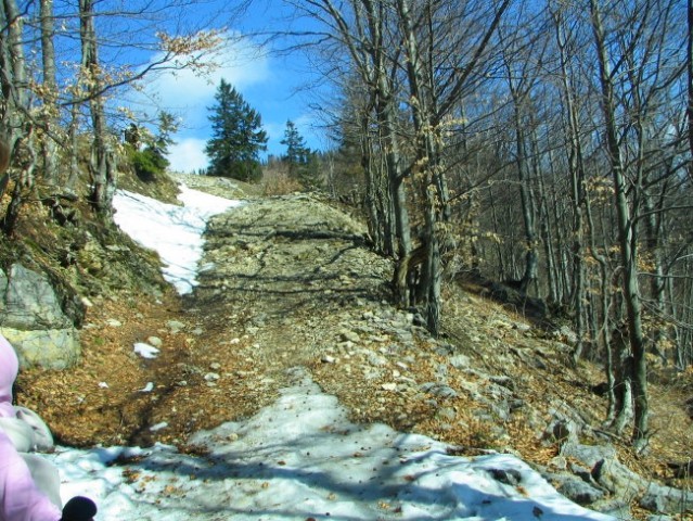 Pohod Velika planina - foto