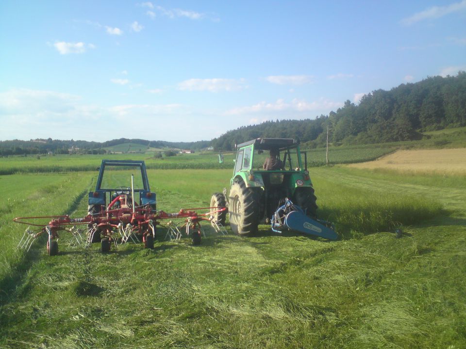 Košnja 2010 - foto povečava