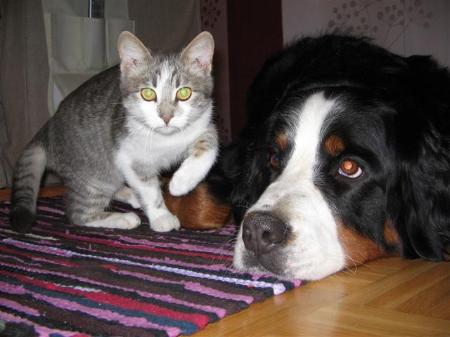 Leyla&Lonček - foto povečava