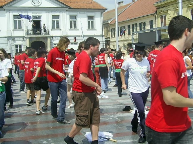 16.5.2oo8 - foto povečava