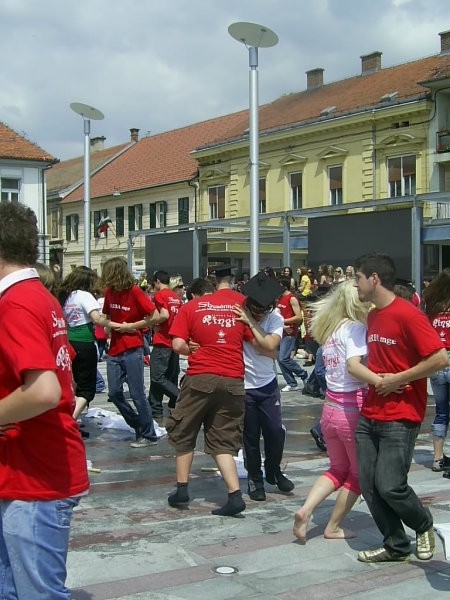 16.5.2oo8 - foto povečava