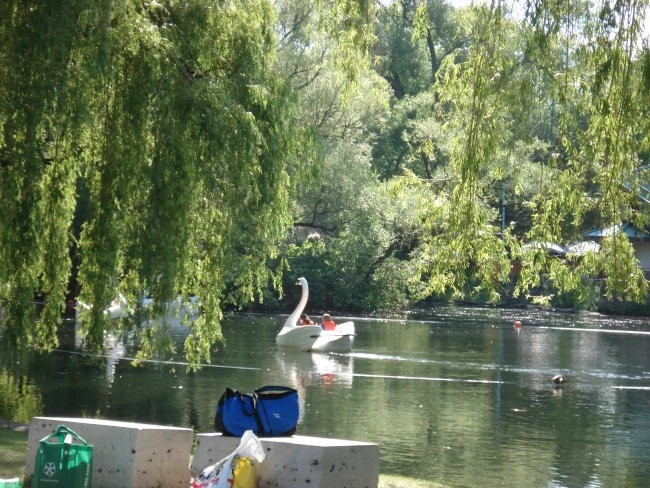 OBISK TORONTSKEGA OTOKA - foto povečava