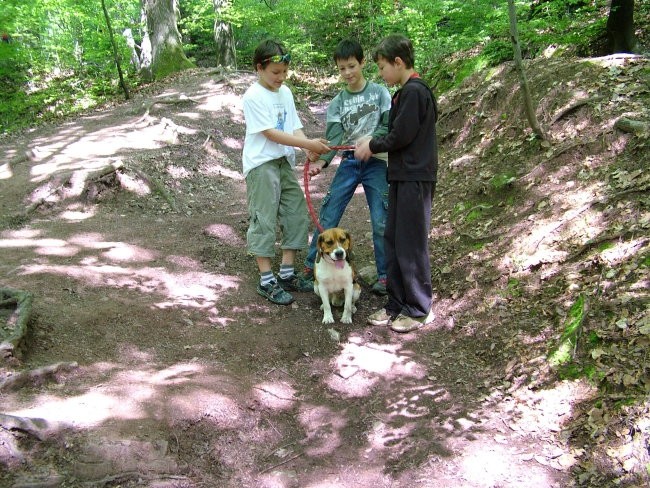 Šmarna Gora 10.5.2008 - foto povečava