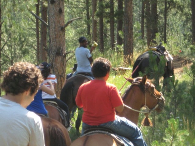 Horseback riding oz jahanje - foto