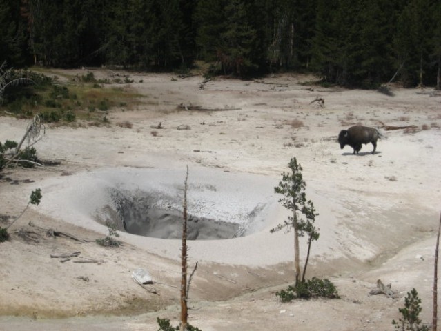 Yellowstone 3-6.2008 - foto