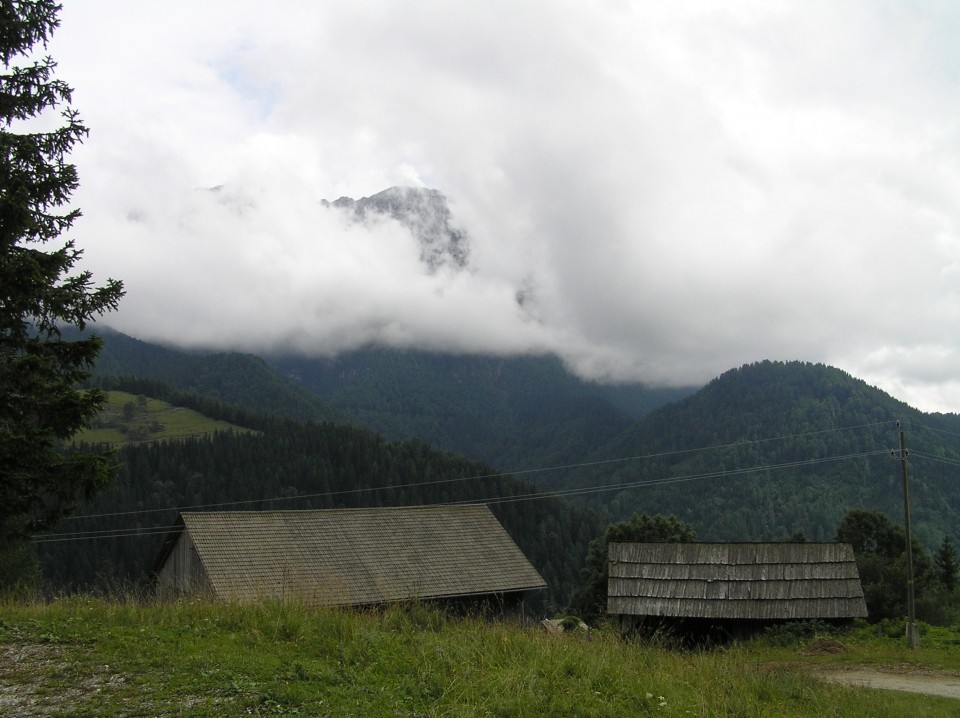 Koroška 2006 - foto povečava