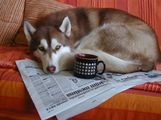 Coffee and newspapers