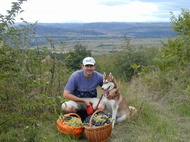 Harvest season