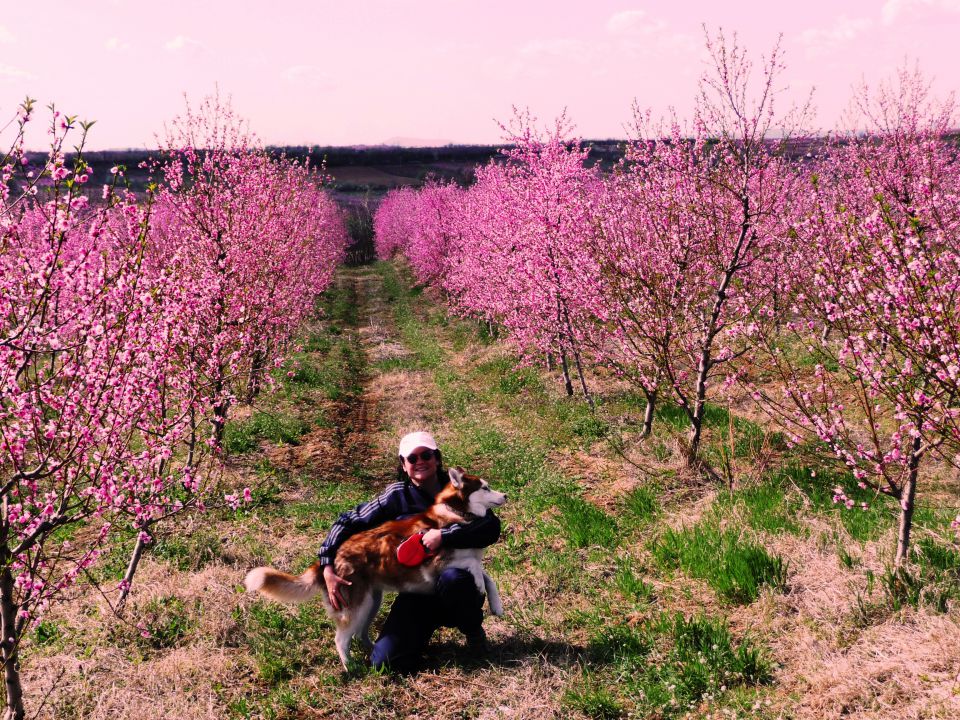 Vega 2 - foto povečava