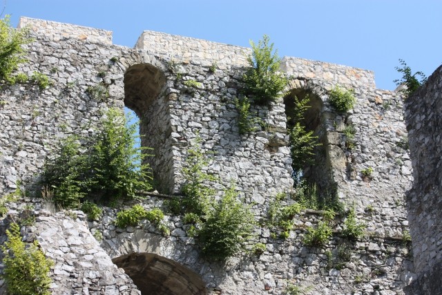 Zaraščena okna Celjskega gradu