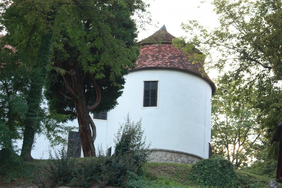 Zahodni stolp Sevniškega gradu
