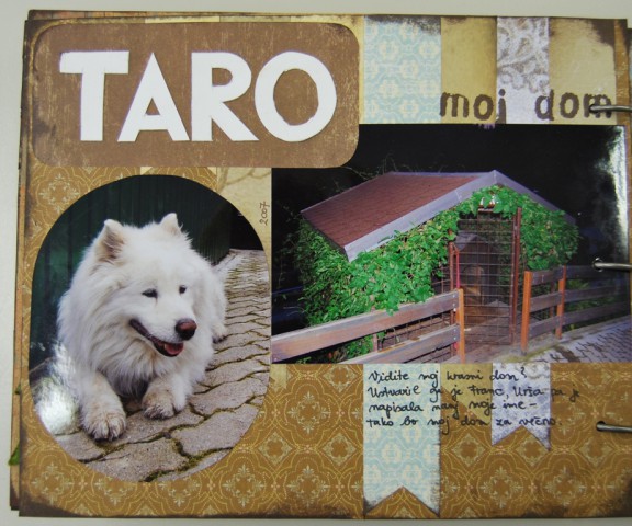Scrapbook - Taro (april 2009)  - foto