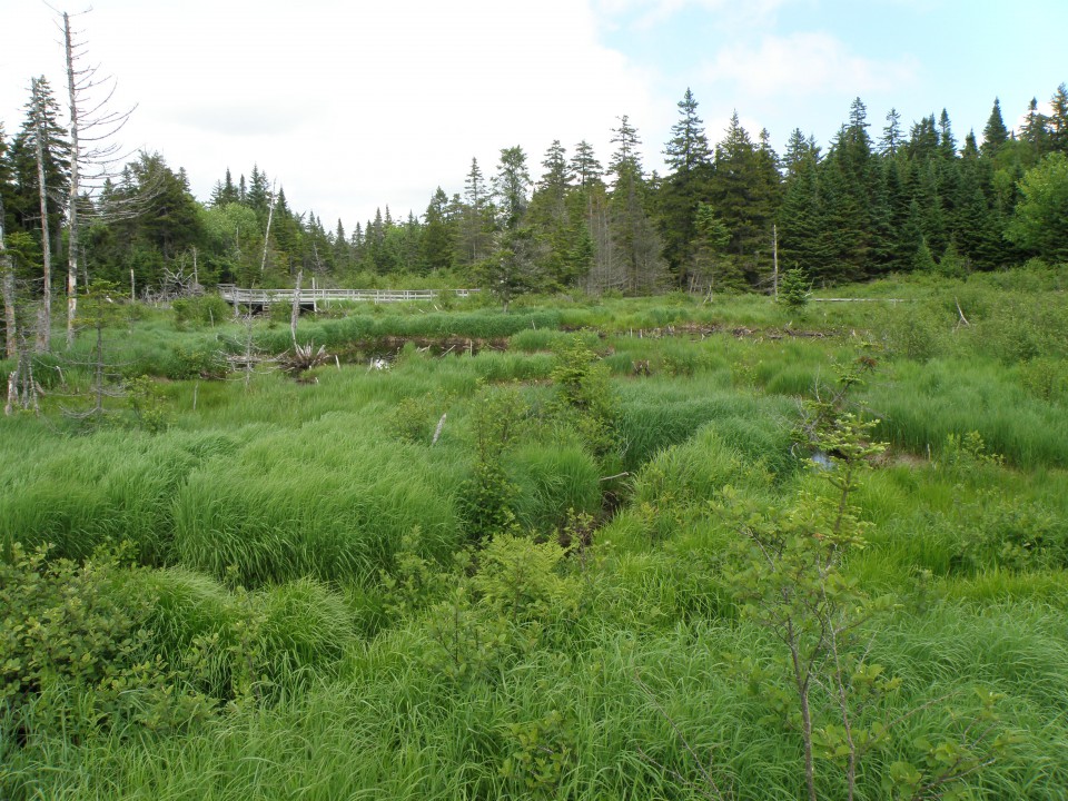 National Park Fundy