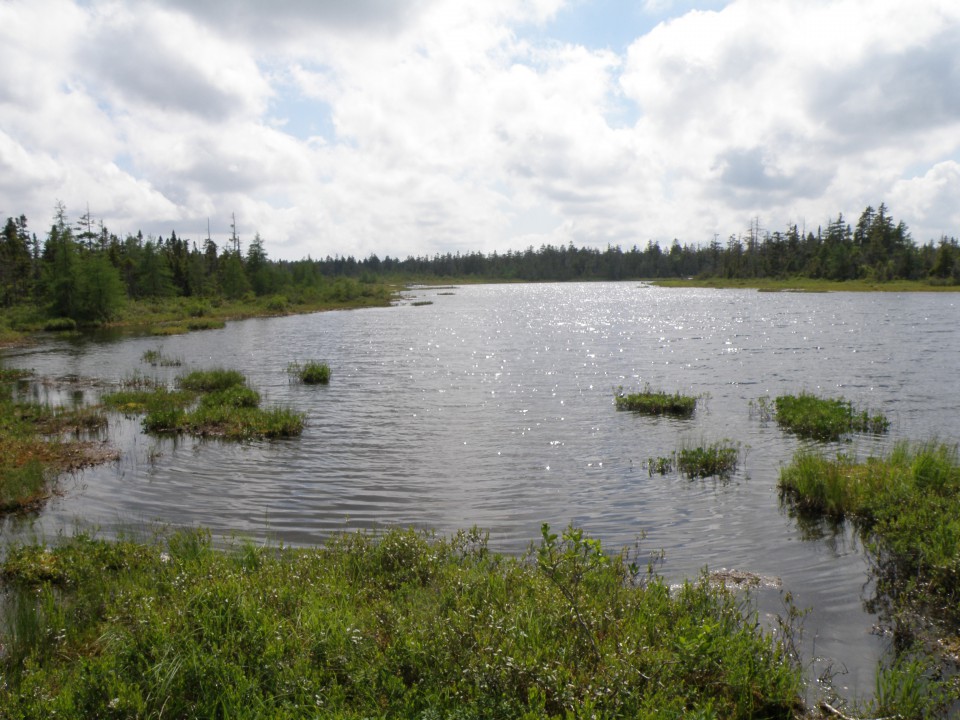 National Park Fundy