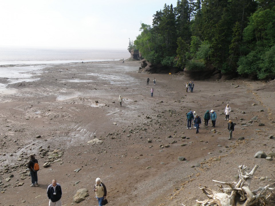 Hopewell rocks