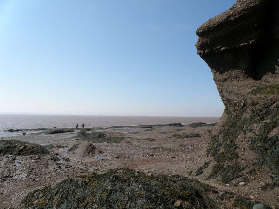 Hopewell rocks