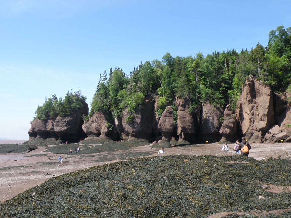 Hopewell rocks