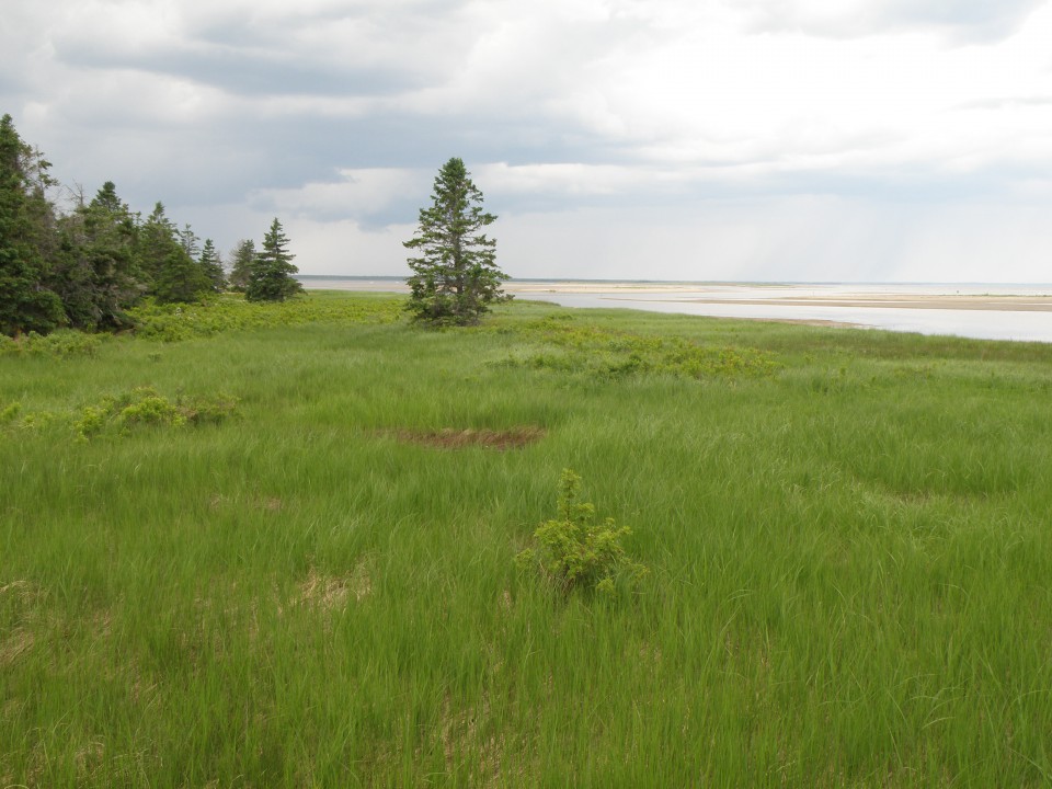 National Park Kouchibouguac
