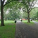 New Haven