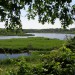 Plymouth - plantation