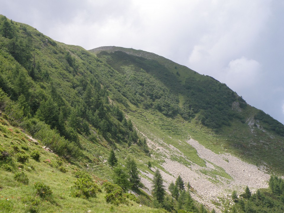 Poludnik