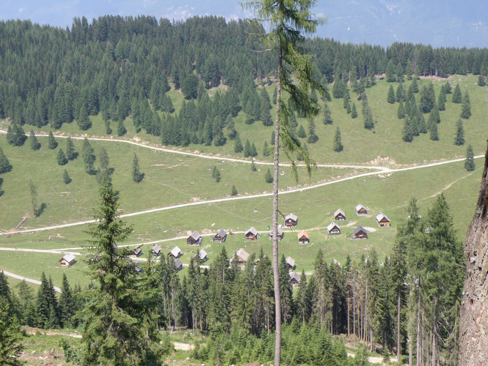 Delacher Alm